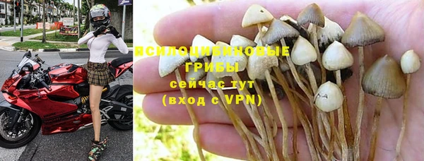 jwh Касимов