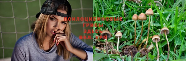 спайс Карталы