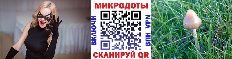 Купить Брюховецкая Псилоцибиновые грибы Psilocybine cubensis