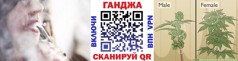 МАРИХУАНА Ganja  Купить где  Брюховецкая 